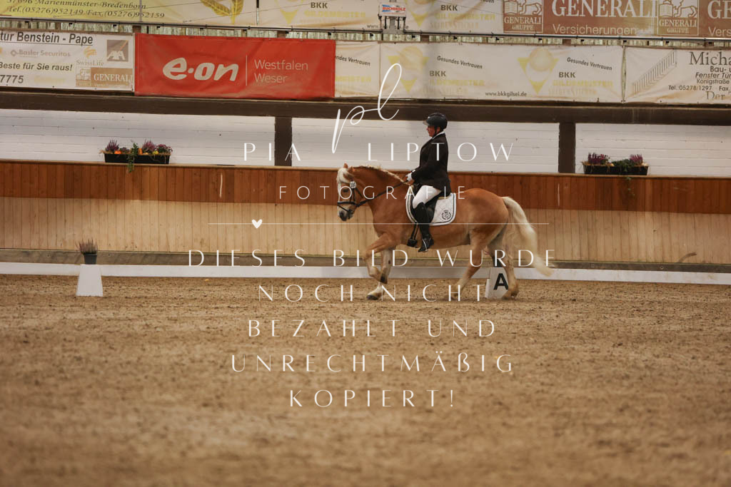 IMGM7905 | pl-fotografie