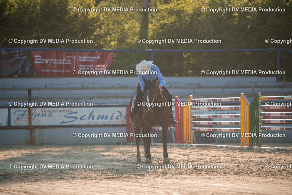 ZS2_9054 | dv-media-shop - Realisiert mit Pictrs.com