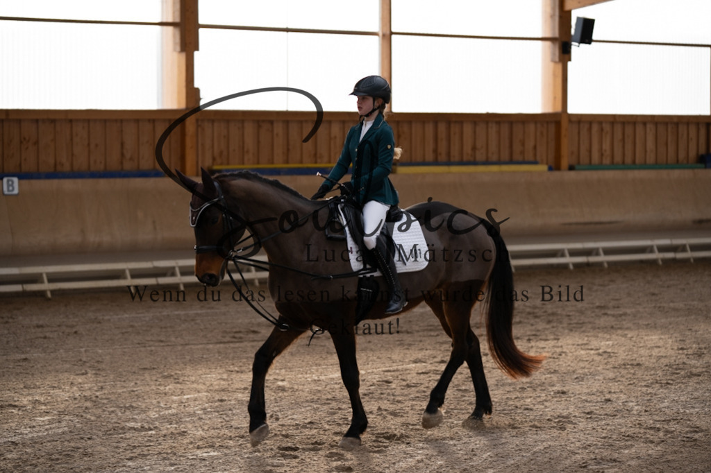 A7V09174 | Pferdefotograf