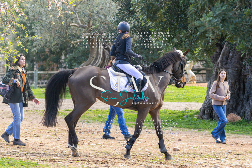 IMG_5040 | s-jay-photography - Realisiert mit Pictrs.com