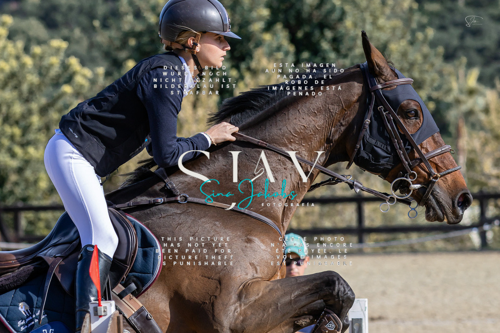 IMG_0649 | s-jay-photography - Realisiert mit Pictrs.com