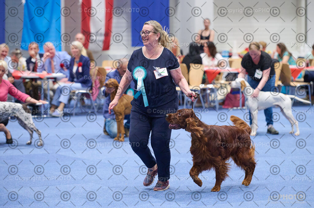 202406_ÖKV-IHA-Tulln24_DSC_3135 | proPHOTO - Realisiert mit Pictrs.com