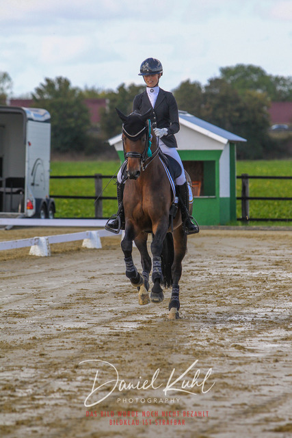 DKP45381 | Turniersportfotografie; Pferdefotografie; Dressurfotografie