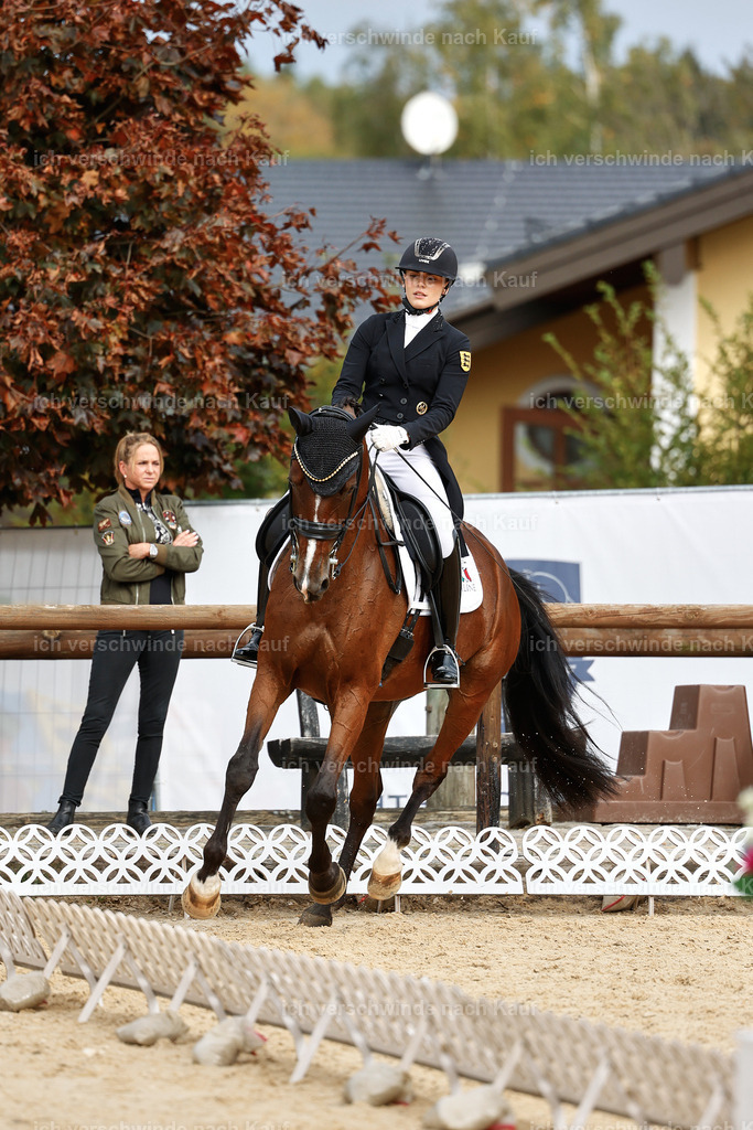 11-003-Dressur S___-StoibPH-1087 | working equitationturnier fotograf videograf stoibphotography marixx film working equitation deutschland reitsport turnierfotografie eventfotografie equestrian events