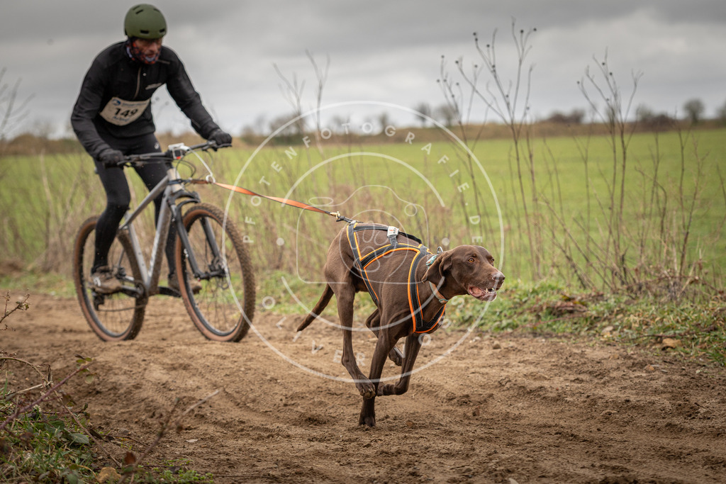 DV3A1098 | Hundefotografie, Tierfotograf, Pfotenfotografie, Fotoshooting Hund, Hunde Portrait, Hundesport, Hundeportraits, Heideshooting, Hunde, Sportfotograf, Hundefotograf, Turnierhundsport, THS,  - Realisiert mit Pictrs.com
