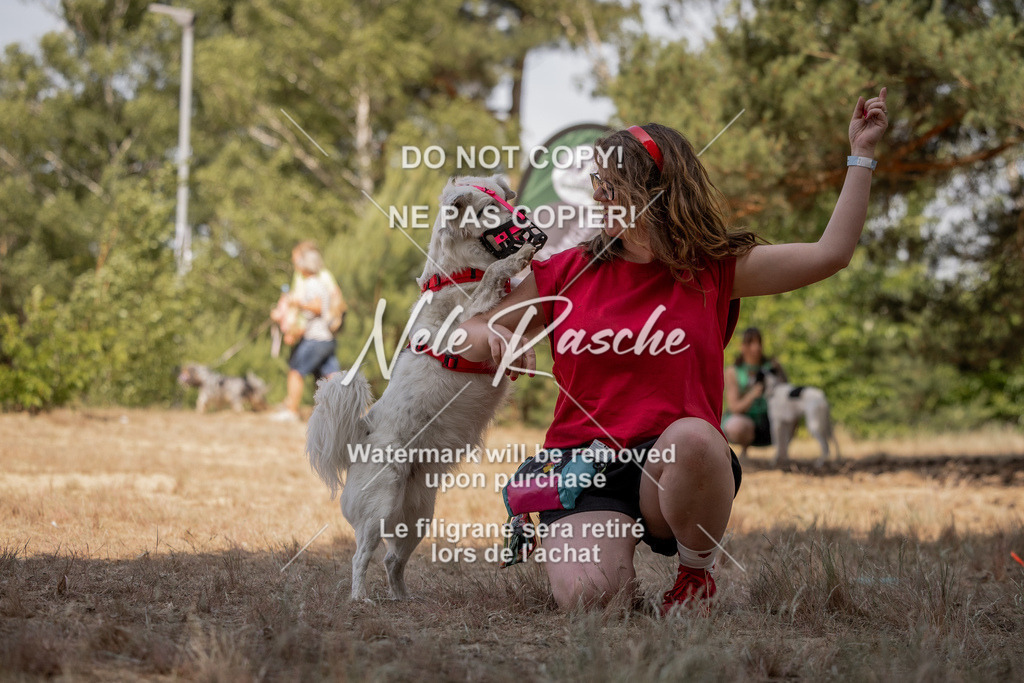 nelerasche_soDD2_408 | nelerasche