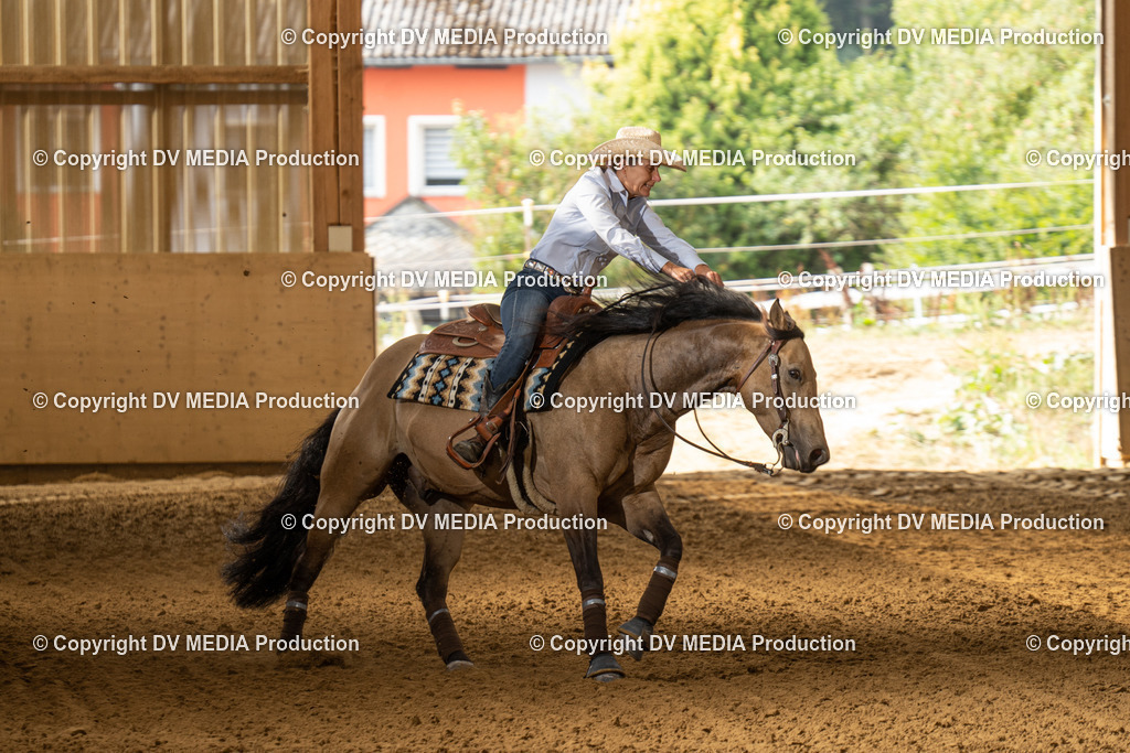 LAU01470 | dv-media-shop - Realisiert mit Pictrs.com