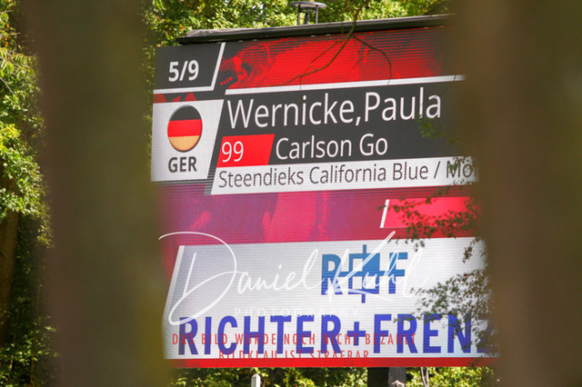 DKP42317 | Turniersportfotografie; Pferdefotografie; Dressurfotografie