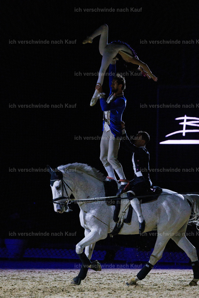 FHClassics-225 | working equitationturnier fotograf videograf stoibphotography marixx film working equitation deutschland reitsport turnierfotografie eventfotografie equestrian events