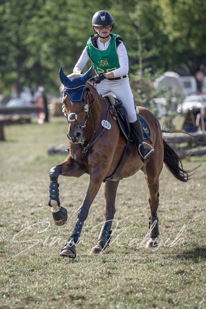20250907-_3LI2961 | Tierfotografie Pferde, Hunde, Katzen, Haustiere.
Turnierfotografie Reitturniere, Reiten, Springreiten, Dressur in Hanau, dem Main-Kinzig-Kreis und dem Rhein-Main- Gebiet um Frankfurt