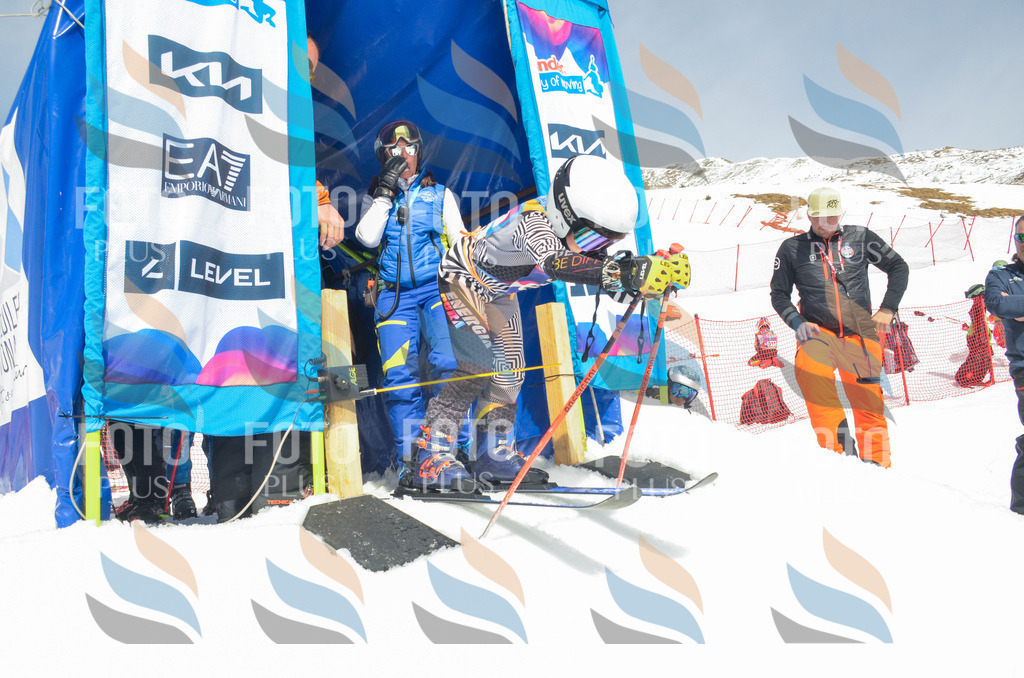 _ELE7507 | holidayphoto