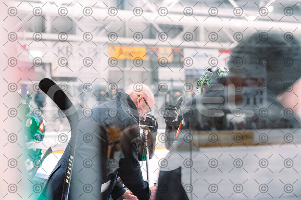 Alligators_vs_Toelz_18_11_2025-75 | Höchstadt Alligators Fotogalerie: Eishockey-Action aus Franken. Professionelle Spielfotos, Portraits & Stadionbilder zum Download. Jetzt entdecken! - Realisiert mit Pictrs.com