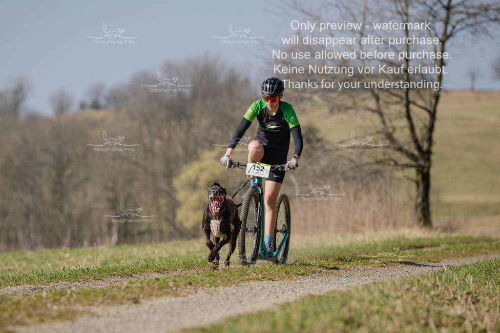 Scooter_Lang-70 | stephaniefillaphotographie - Realisiert mit Pictrs.com
