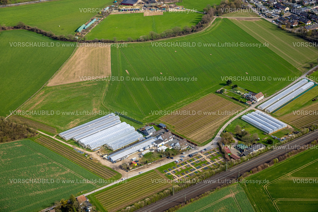 Duisburg230302429 | Luftbild, Rosen Ruland Gewächshäuser, Wiesen und Felder für mögliche neue Bauprojekte, Angermund, Düsseldorf, Ruhrgebiet, Nordrhein-Westfalen, Deutschland