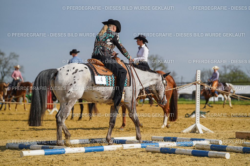 DSC01407 | Pferdegrafie