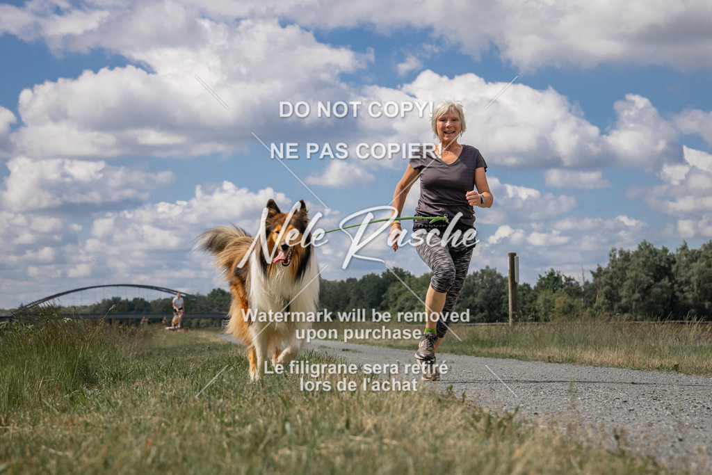 nelerasche_BuHu2026_SaCC1100-1200_05 | nelerasche