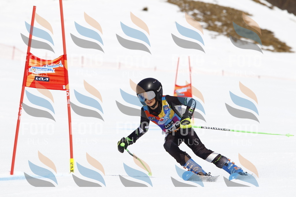 _U3G4636 | holidayphoto