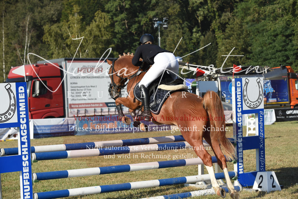 DSC_4988 | Pferde- und Turnierfotografie in Westsachsen. Pferdeportraits, Auftragszeichnungen und intuitive Kunst.