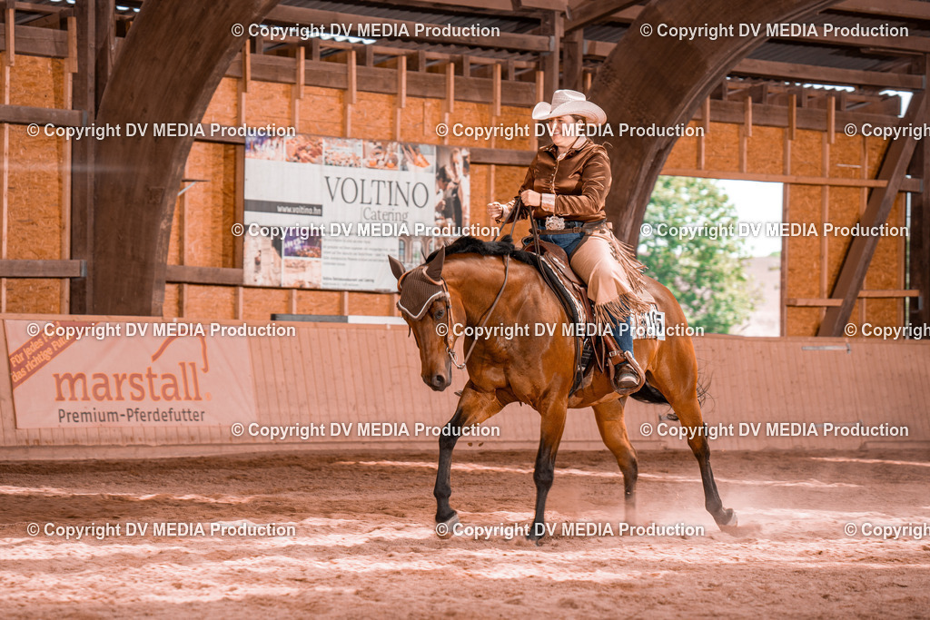 NE100758 | dv-media-shop - Realisiert mit Pictrs.com