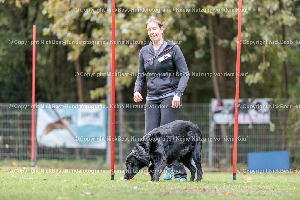 THS-HSV-Blumenthal-2026-Nickbest-Hundefotografie-2023 | Dein Hund! Dein Moment! Deine Erinnerungen! Hundefotografie in Bremen Blumenthal. Ich fange die besonderen Momente deines Vierbeiners ein – ob Indoor mit Blitzanlage oder in der freien Natur. Sicher dir dein Moment und dein Termin für eure Erinnerungen.