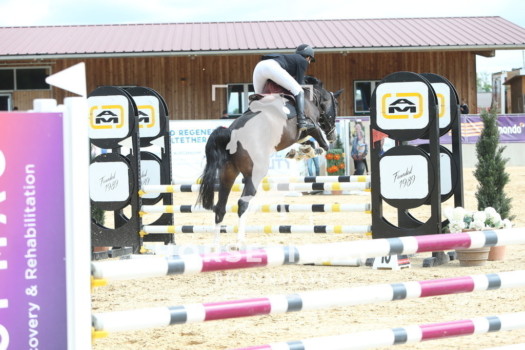 DL2Q0787 | Willkommen bei Brunnmayr - Design & Fotografie – Ihrem Spezialisten für Reitturniere und Pferdeveranstaltungen in Oberösterreich, Salzburg und Bayern! Seit über 17 Jahren sind wir leidenschaftlich dabei.