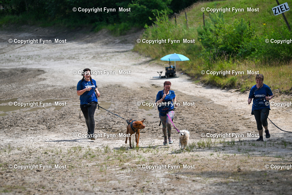 DSC_3423 | Hallo und herzlich Willkommen auf meiner Shop-Seite Fynn Most.

Ich wünsche Dir viel Spaß beim stöbern durch die Bilder, wenn Du Fragen hast oder Bilder vermisst, kannst du mir gerne eine Nachricht schreiben. - Realisiert mit Pictrs.com