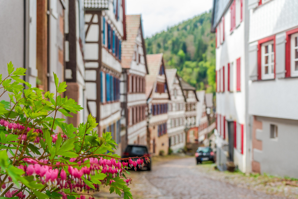 schiltach_210425-9 | <div id="allefotografen-seal-verified-green"></div><script src="https://www.allefotografen.de/956728/seal-verified-green/seal.js" async="async"></script> - Realisiert mit Pictrs.com