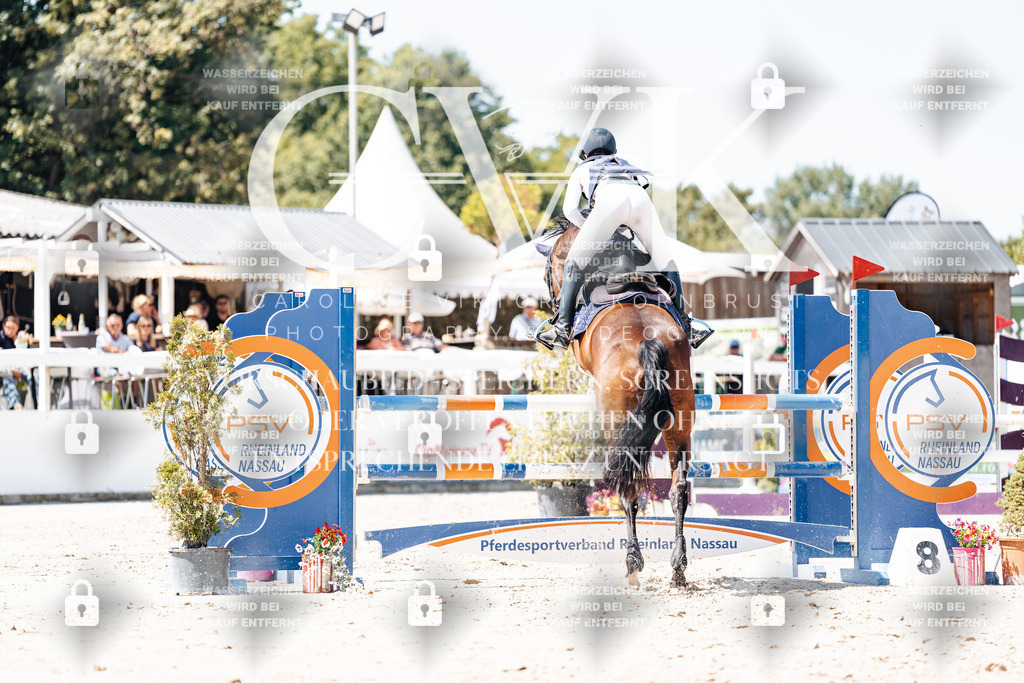 CK909905 | Turnierfotografie Pferdefotografie Trier Rheinland-Pfalz Pferdesport Reitsport Tierfotografie Sportfotografie Pferdevideo Pferdevideografie Equestrianvideography equestrianphotography  - Realisiert mit Pictrs.com