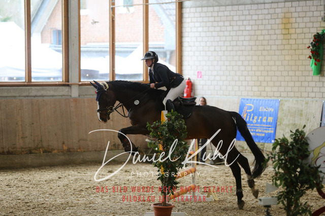 IMG_0723 | Turnierfotos kaufen im Webshop von Daniel Kuhl Photography – entdecke professionelle Reitsportfotos aus Turnieren & Events. Hochwertige Turnierbilder online bestellen & sichern. Jetzt Fotos von Reitsportturnieren kaufen!