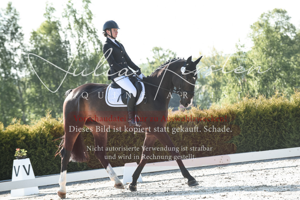 20230518_JK-Röhrsdorf-09-0557 | Pferde- und Turnierfotografie in Westsachsen. Pferdeportraits, Auftragszeichnungen und intuitive Kunst.