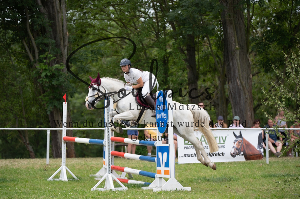 A7V06983 | Pferdefotograf