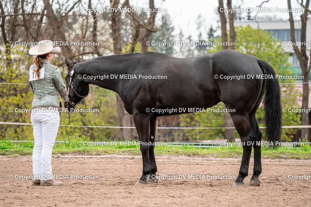 BA300176 | dv-media-shop - Realisiert mit Pictrs.com