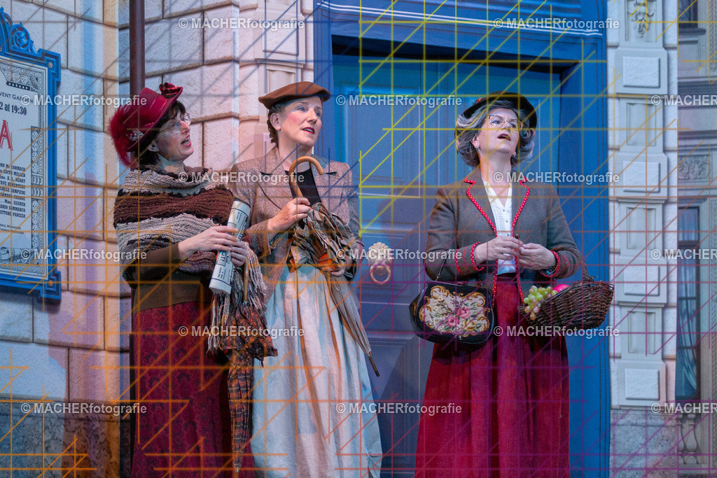 061_MFL-2025 | Portraitbilder von Regisseur; Darsteller; Techniker; Maske; Kostüme; Chor; Musiker; Bilderserie der Generalprobe und der Premierenvorstellung, Szenenbilder; Ausdrucksstudien; Bühnenüberblick; Bühnenkulissen; Pressefotos inkl. Redaktionsfoto Darstellergruppe.