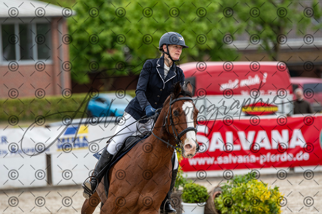 KPT_8467 | andre_photographic