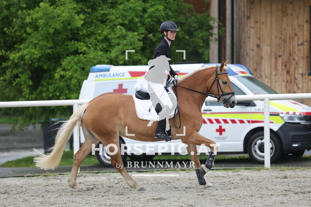 0P6A7945 | Willkommen bei Brunnmayr - Design & Fotografie – Ihrem Spezialisten für Reitturniere und Pferdeveranstaltungen in Oberösterreich, Salzburg und Bayern! Seit über 17 Jahren sind wir leidenschaftlich dabei.