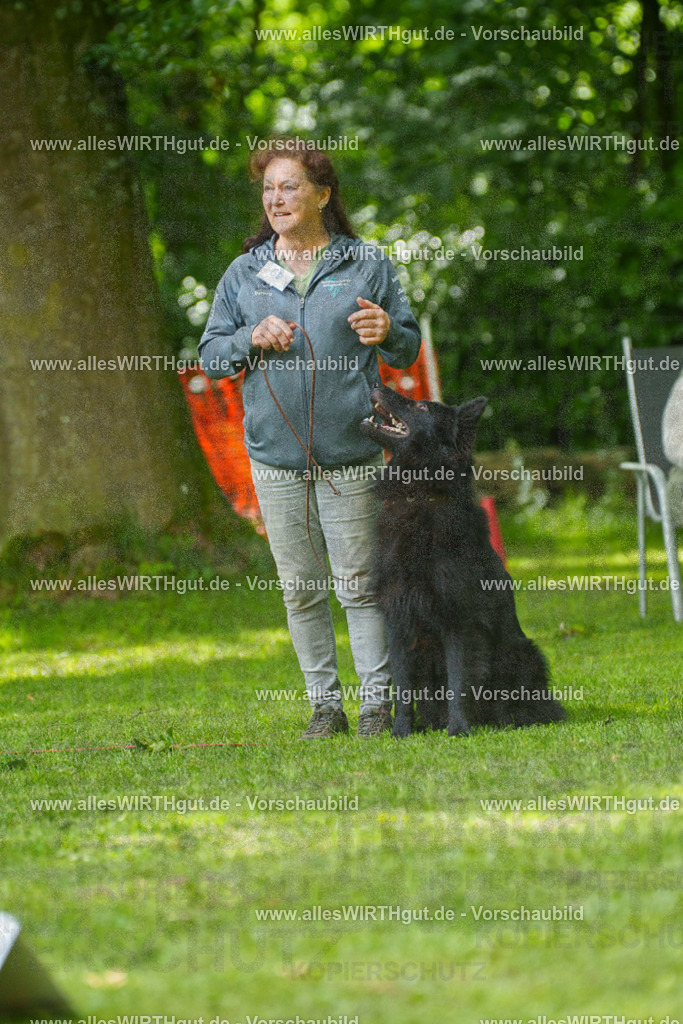 @allesWIRTHgut_Tierfotografie - www.allesWIRTHgut.de - 7R505644 | Professionelle Tierfotografie in Mönchengladbach von Daniel Wirth (allesWIRTHgut). Liebevolle & natürliche Bilder von Hunden & Katzen für unvergessliche Erinnerungen.