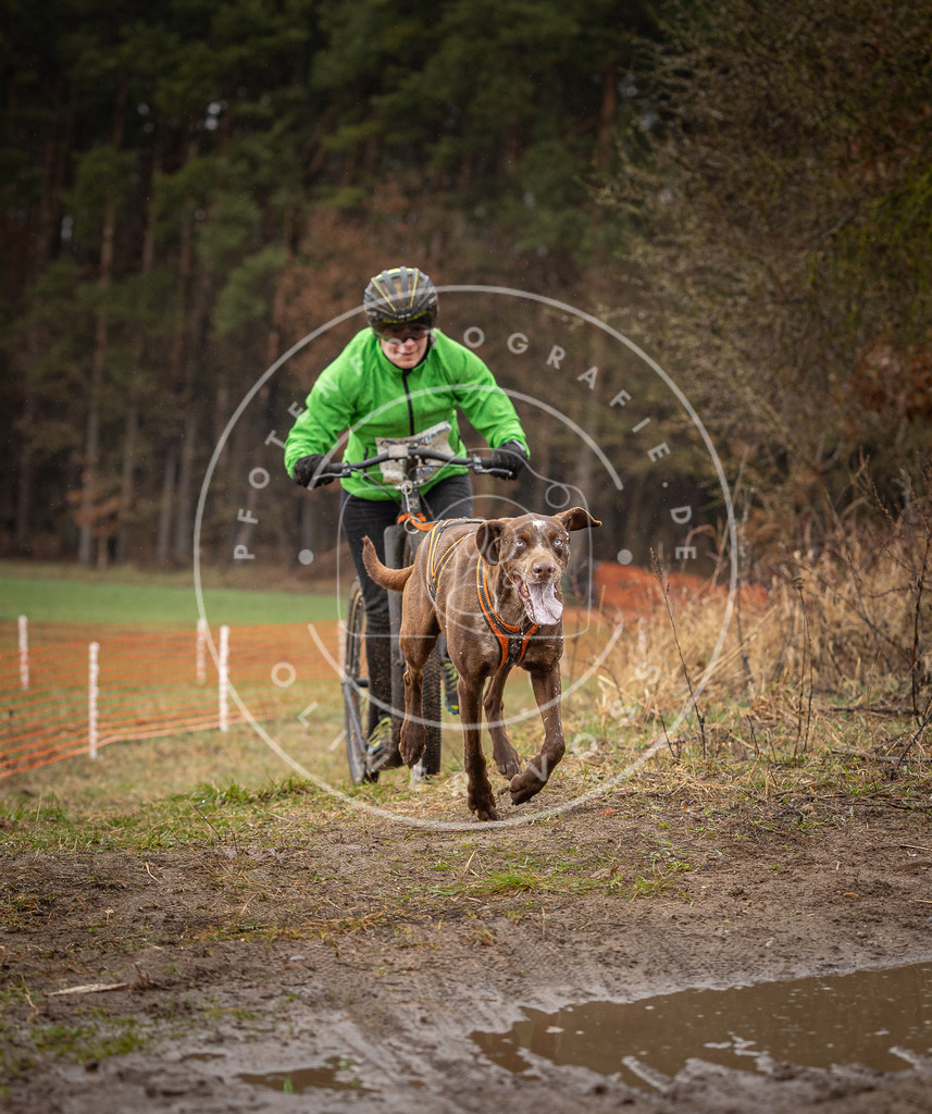 DV3A9463 | Hundefotografie, Tierfotograf, Pfotenfotografie, Fotoshooting Hund, Hunde Portrait, Hundesport, Hundeportraits, Heideshooting, Hunde, Sportfotograf, Hundefotograf, Turnierhundsport, THS,  - Realisiert mit Pictrs.com