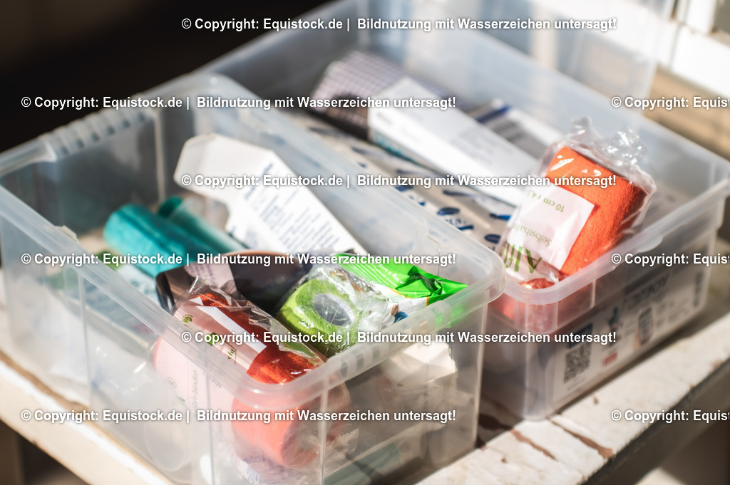 20210531_Sicherheit-im-Stall_0024 | Foto: Thomas Hartig