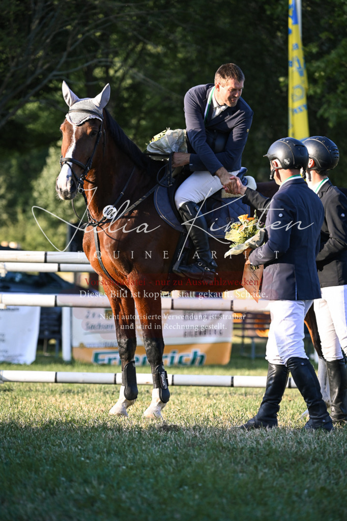 DSC_2032 | Pferde- und Turnierfotografie in Westsachsen. Pferdeportraits, Auftragszeichnungen und intuitive Kunst.