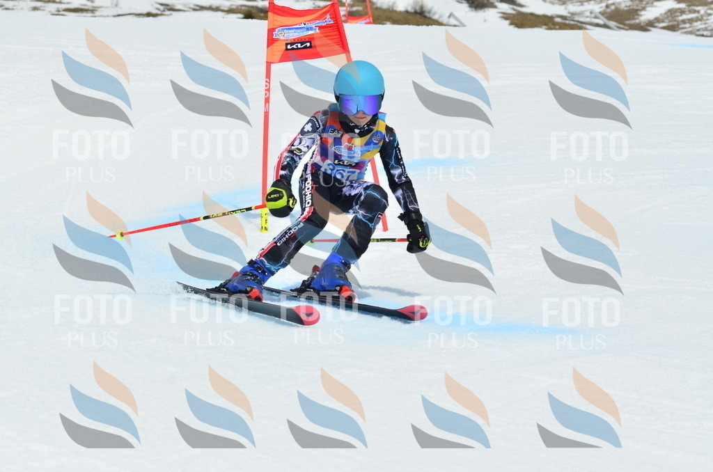 _ELE2977 | holidayphoto