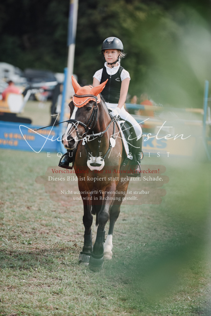 DSC_5662 | Pferde- und Turnierfotografie in Westsachsen. Pferdeportraits, Auftragszeichnungen und intuitive Kunst.