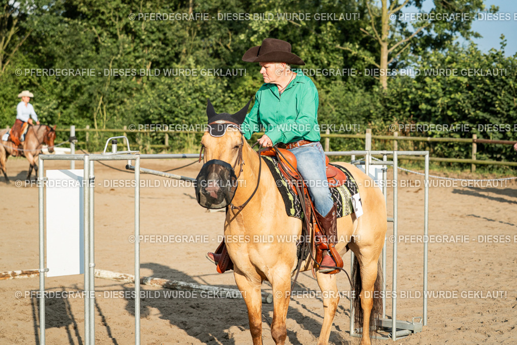 DSC06188 | Pferdegrafie