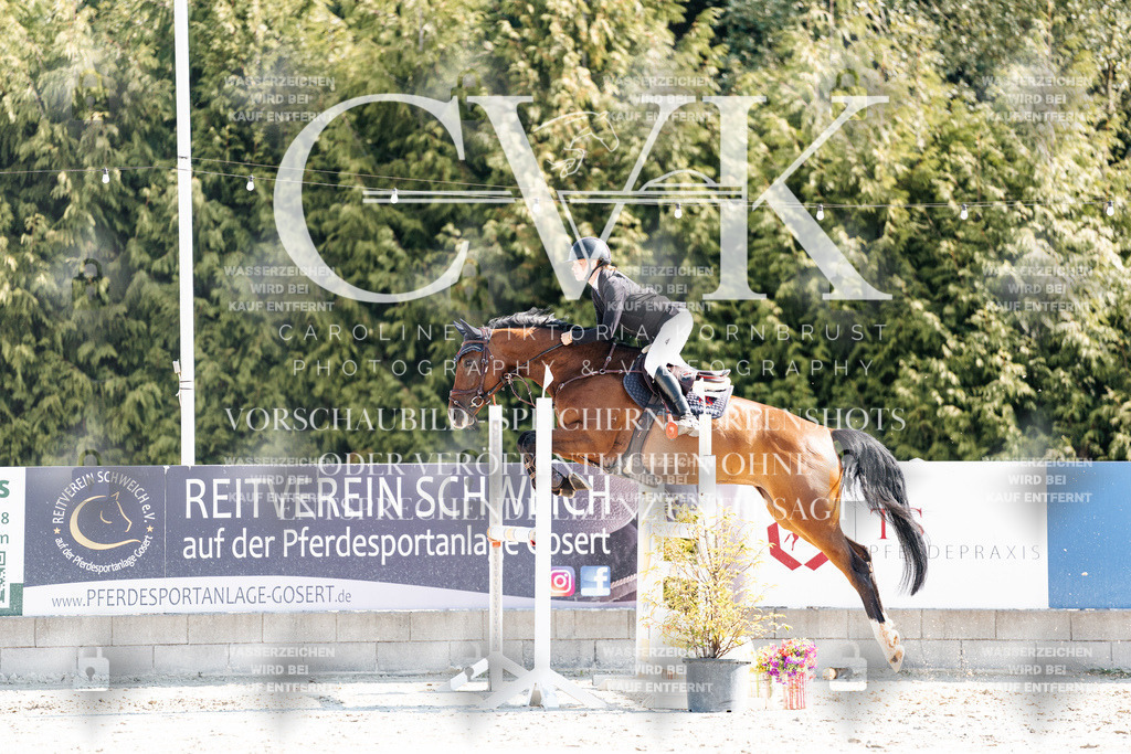 CK902683 | Turnierfotografie Pferdefotografie Trier Rheinland-Pfalz Pferdesport Reitsport Tierfotografie Sportfotografie Pferdevideo Pferdevideografie Equestrianvideography equestrianphotography  - Realisiert mit Pictrs.com