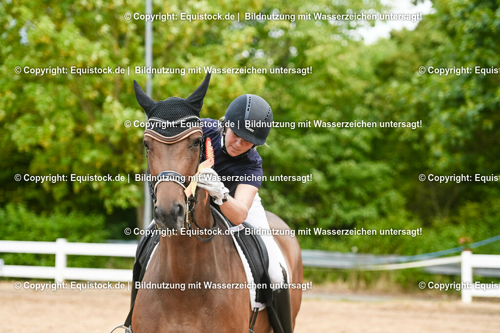 20230716_01_Dressurprüfung Kl.M_0639 | equistock