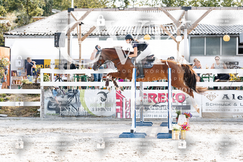 CK905714 | Turnierfotografie Pferdefotografie Trier Rheinland-Pfalz Pferdesport Reitsport Tierfotografie Sportfotografie Pferdevideo Pferdevideografie Equestrianvideography equestrianphotography  - Realisiert mit Pictrs.com