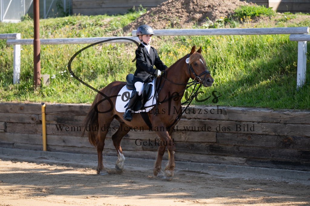 A7V07551 | Pferdefotograf