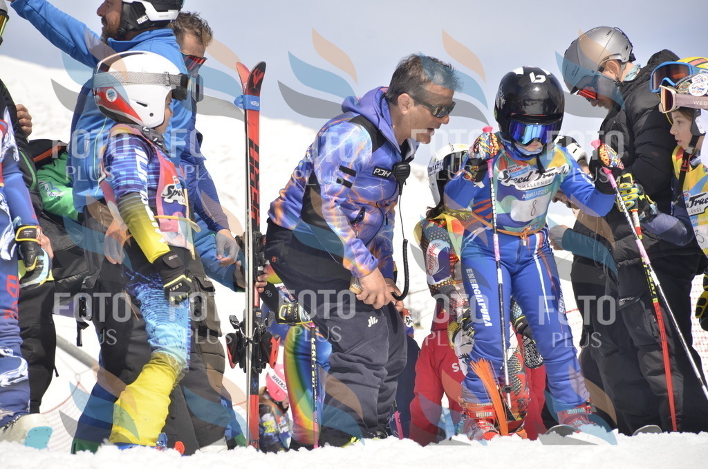 _ELE8537 | holidayphoto