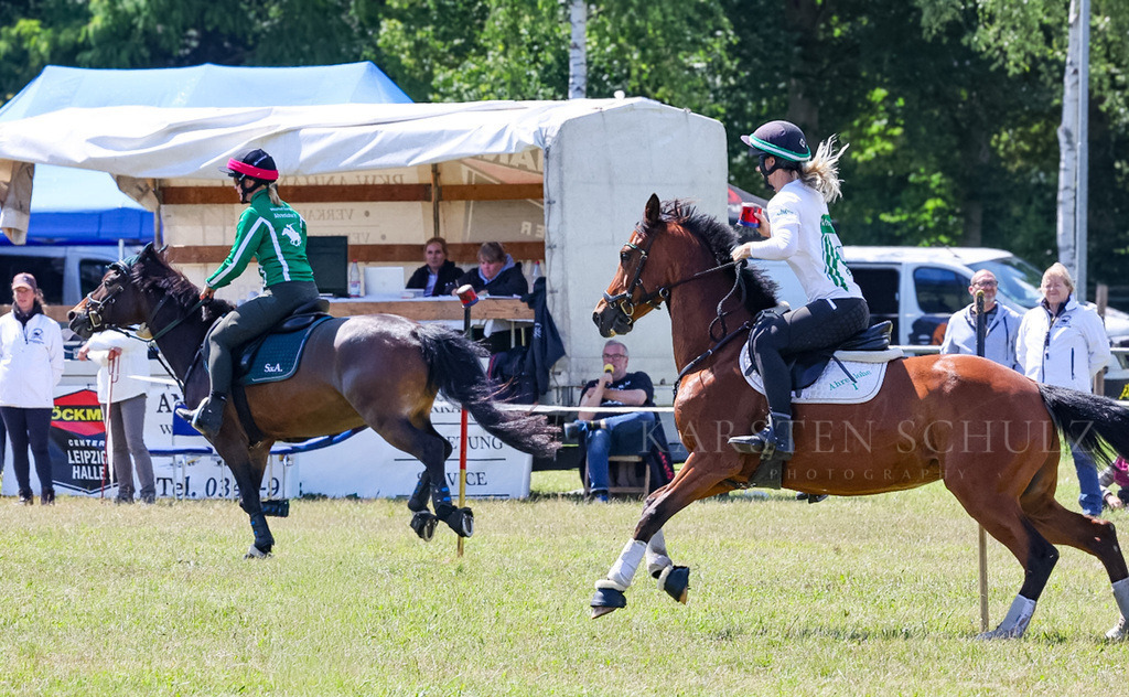 IMG_1625 | Reitsport Reiten