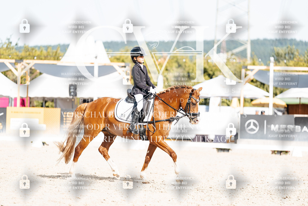 CK905256 | Turnierfotografie Pferdefotografie Trier Rheinland-Pfalz Pferdesport Reitsport Tierfotografie Sportfotografie Pferdevideo Pferdevideografie Equestrianvideography equestrianphotography  - Realisiert mit Pictrs.com