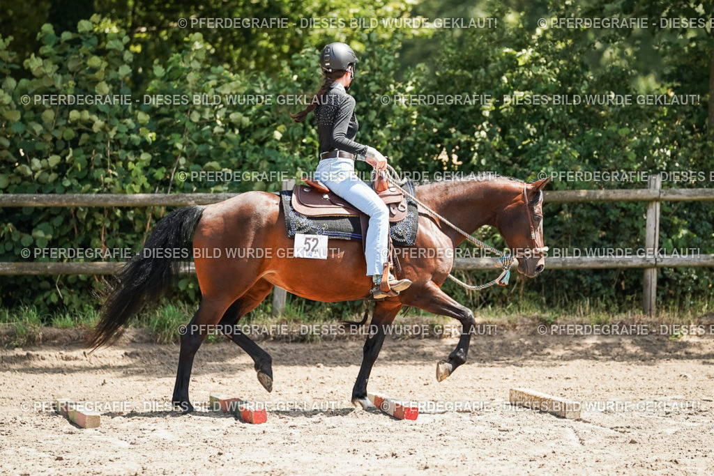 DSC07692 | Pferdegrafie